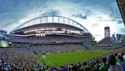 熊猫TV-法国足球的璀璨篇章，1998年冠军一代球员特点重温