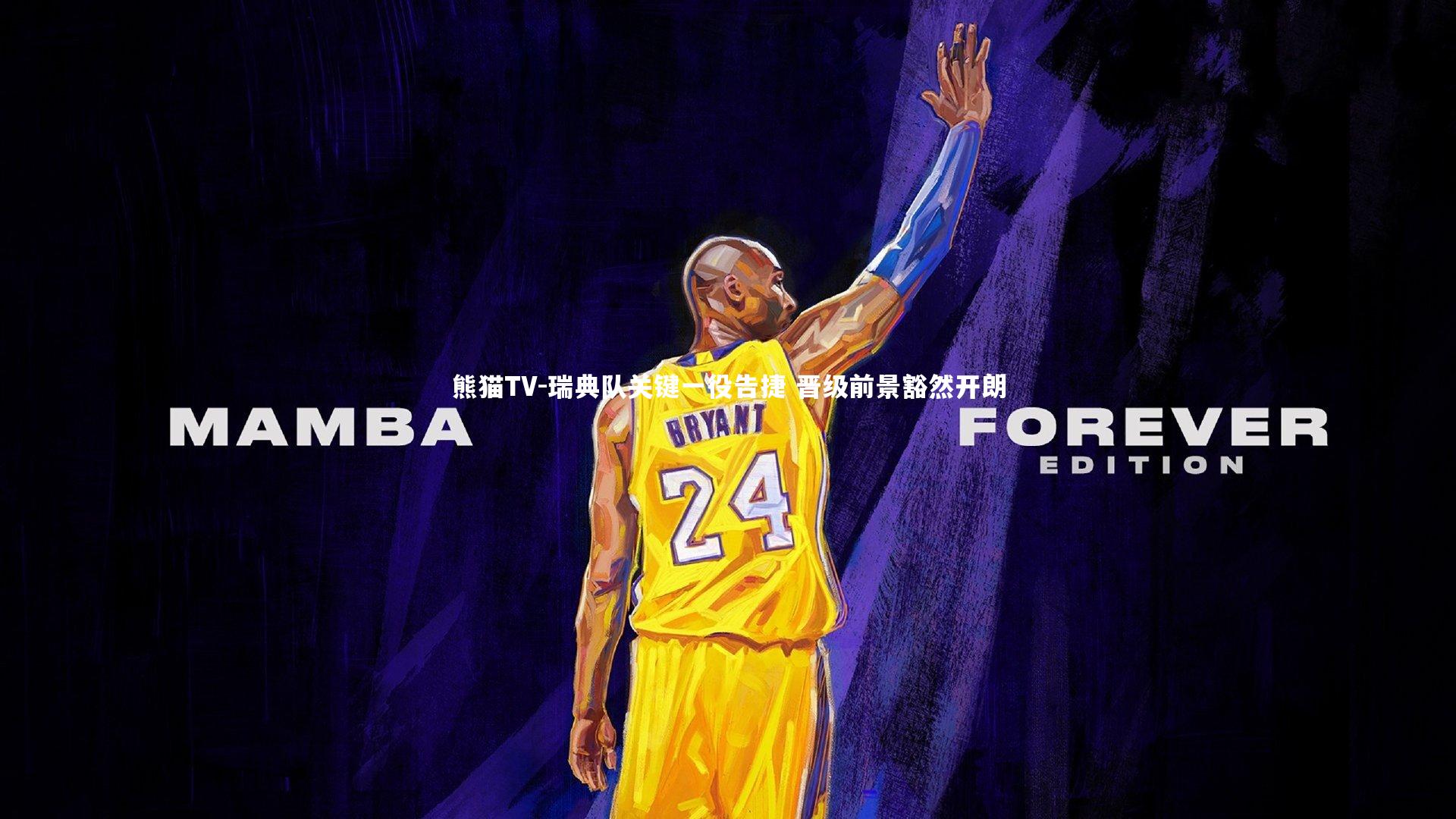 瑞典队关键一役告捷 晋级前景豁然开朗